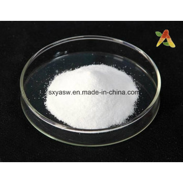 Natural Plant Extract 99% Taxol